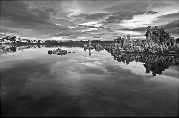 Majestic BW